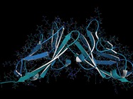 Protein Biomarker Discovery Methods