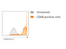 Bright CD68 Anti-Mouse Antibody From BioLegend