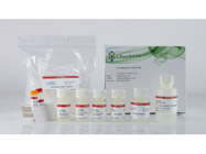 CELLDATA RNAstorm™ 2.0 FFPE RNA Extraction Kit