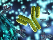 Cell-free Protein Synthesis Service