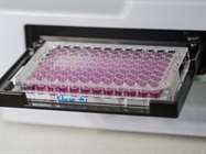Tips & Tricks - MILLIPLEX® Multiplex Assay User Guide
