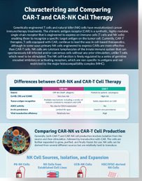 Characterizing and Comparing CAR-T and CAR-NK Cell Therapy