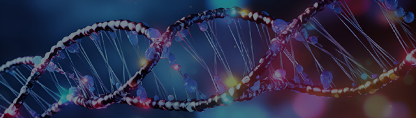  Infographic: The Basics of Hybridization Capture