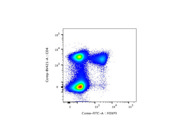 Specific Staining With FITC Anti-Mouse FOXP3 Antibody From Thermo Fisher