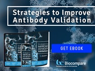 Strategies to Improve Antibody Validation