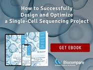 How to Successfully Design and Optimize a Single-Cell Sequencing Project