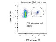 Bright and Specific S62-74 Epitope CD4+ T cell Tetramer for Identification of Spike Protein