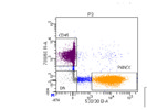 Good Quality Antibody With High Staining Efficiency and Cost-Effectiveness