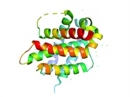 Antibody Development: A Question of Balance