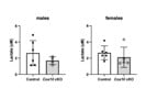 Rapid Assay From Promega for Detecting Lactate Secretion