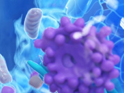 Infographic: Navigating Spatial Biology