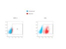 Mouse Monoclonal Anti-Human IgG  From Abcam Gives Bright Staining