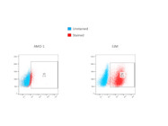 Mouse Monoclonal Anti-Human IgG  From Abcam Gives Bright Staining