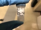 Phospho-TBK1/NAK Antibody From Cell Signaling Produces Clear Bands
