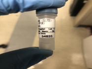 Phospho-TBK1/NAK Antibody From Cell Signaling Produces Clear Bands