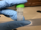 Anti-IRF3 Antibody From Abcam Produces Great results for Western Blot