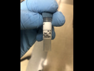 High Quality EGF Receptor Antibody From Cell Signaling Technology