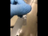 Western Blot Eps8 From Cell Signaling Technology Produces Clear Bands