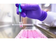 Millicell® Cell Culture Inserts