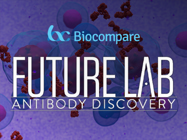 Infographic: Introduction to Antibody Engineering