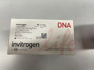 PCR Cloning Kit From Invitrogen for Sequencing of PCR Products