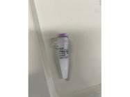 PCR Master Mix Useful for a Wide Range of Applications