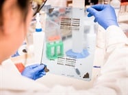 Best Practices for Ensuring Western Blot Image Integrity