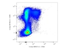 Anti-Mouse CD64 Antibody From BioLegend Produces Good Results for the Characterization of Macrophages