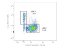 Excellent Anti-Mouse SIRP Alpha Antibody