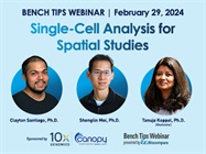 Single-Cell Analysis for Spatial Studies