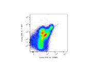 Decent Eomesodermin Monoclonal Antibody Alexa Fluor 488 From eBioscience