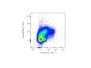 PE Anti-mouse Tim-3 Antibody With Specific Staining