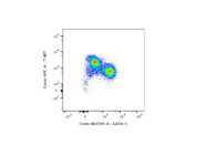 Decent Anti-Mouse T-bet eFluor™ 660 Antibody From eBioscience