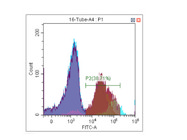 CD41 Flow Cytometry Antibody From BioLegend