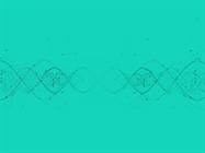 Choosing a DNA Amplification Method