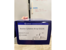 Cytokine Array Analysis in Bovine LPS Activated Plasma