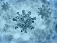 Target Six Respiratory Viruses in One Tube