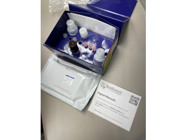Complete Package Kit From RayBiotech With a Good Sensitivity Range
