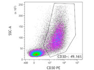 CD30 PE From BD Biosciences (for Reed-Sternberg Cells)