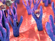 Single-Cell Transcriptomics Fuels Cell-Cell Communication Insights