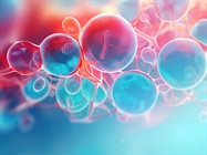 Getting Started with 3D Cell Cultures