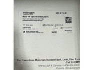 Simple Kit From Thermo Fisher Scientific for the Detection of TNF Alpha Cytokine
