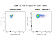 Superb CD86 Antibody for Identifying Co-Stimulatory Molecules by Flow Cytometry