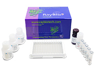 RayBio® ELISA spring sale starts soon!