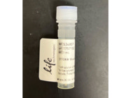 Great SYTOX™ Blue Dead Cell Stain for Flow Cytometry