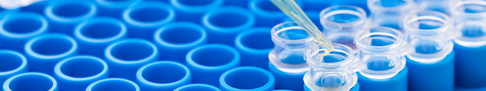  Tips and Techniques for Pipetting with SMC<sup>®</sup> Assays