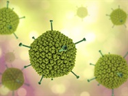Infographic: Viral Vectors for Gene Therapy