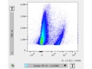 This L1CAM Antibody From  R&D Systems Was Overall Satisfactory