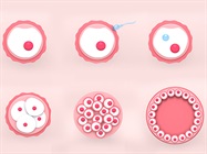 Developmental Biology Takes Advantage of Spatial Technologies