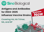 Recombinant Antigens for 2015-2025 Influenza Vaccine Strains